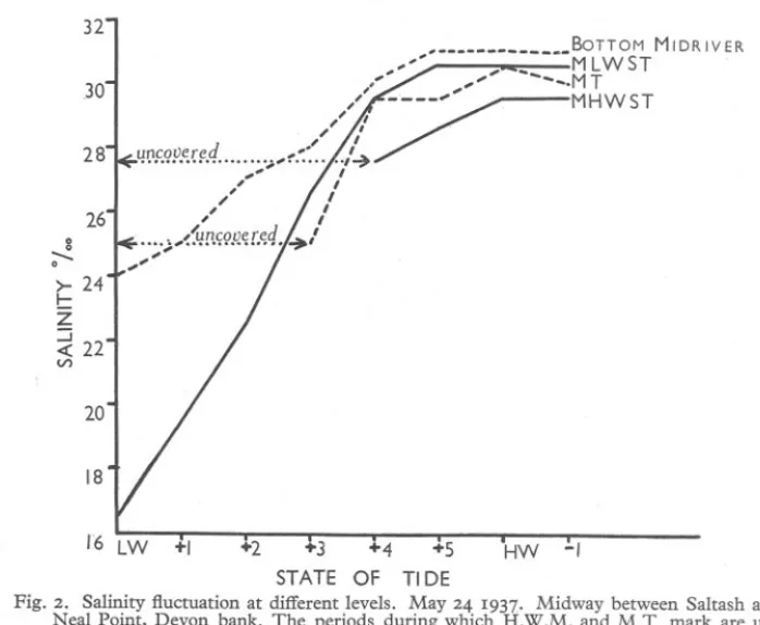 Fig. 2. Salinity fluctuation at different levels. May 24 1937. Midway between Saltash and Neal Point, Devon bank