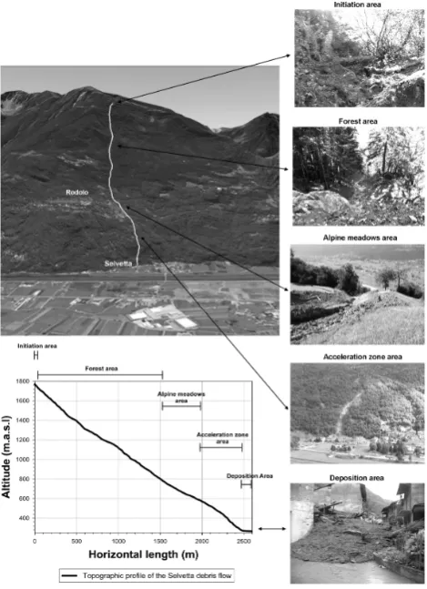 Fig. 2.  Google image and proﬁle of the Selvetta debris ﬂow path with the ﬁve main morphological sections determined on the ﬁeld.Figure 2 