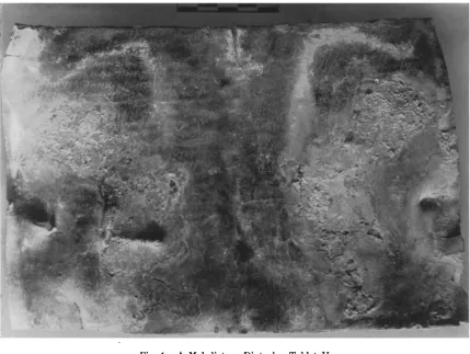 Fig. 1. A Maledictory Diptych. Tablet II 