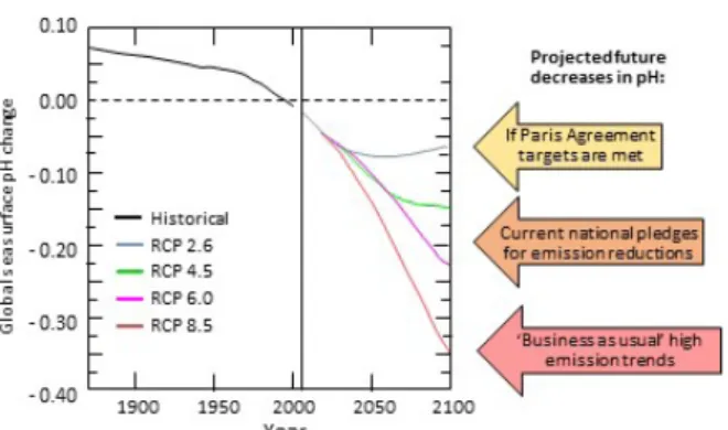 Figure 1: Model-based hindcasts and projections of global  average sea surface pH change over 1870-2100, with projections  based on IPCC Representative Concentration Pathways (RCPs)  and related to outcomes of the Paris Agreement