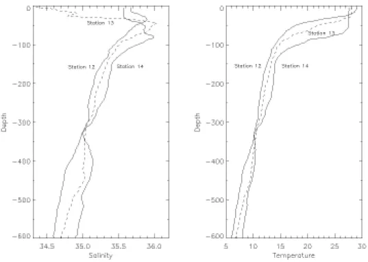 Fig. 11. Salinity casts made at Stations 12, 13, and 14 along the AMT-5 transect (left panel) and the corresponding temperature casts (right panel).