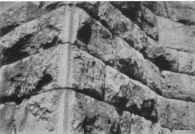 Fig.  16.  Drafted  Corner of  a  Tower  at  Newrl Pleuron 