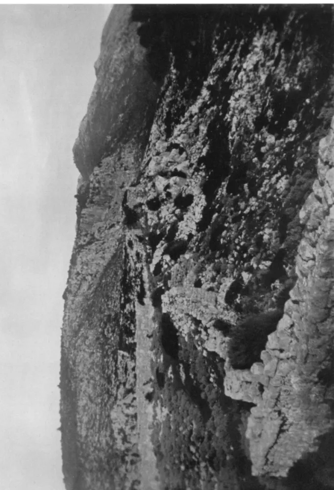 Fig.  3.  The  Southeastern  Elevation 