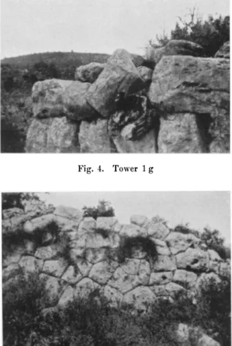 Fig.  4.  Tower  1 g 