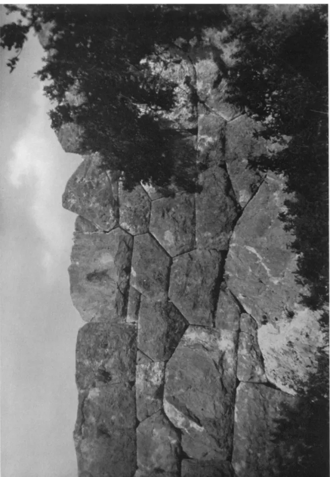 Fig.  7.  Samikon: Inner  Facing  of  Wall  2  (between  2 h  and  2 i) 