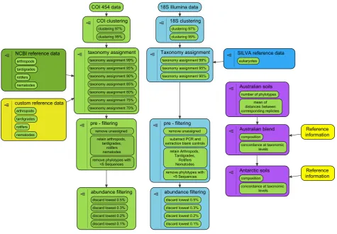 Fig 2. Preparation of 18S (light green) and COI (light blue) phylotype data using the QIIME environment, and subsequent analysis (purple)