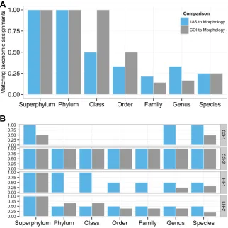 Fig 4. Fraction of detected taxonomic entities in metabarcoding data, when compared to morphologic reference information at various taxonomic levels