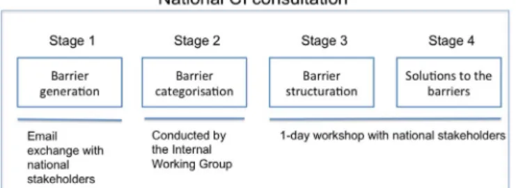 Fig. 1. The four stages of the national CI consultations.