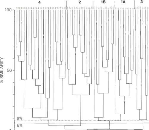 Fig.  7.  Dendrogram of  inverse analysis comparing 55  nematode  species occurring in more than 4  %  dominance at any of  the 19  River Exe  stations