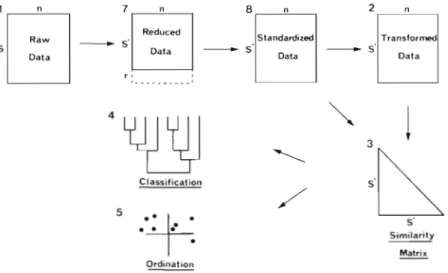 Fig.  2.  Inverse  (r-type) analysis: diagrammatic summary of  stages leading to classification  and ordination of  species