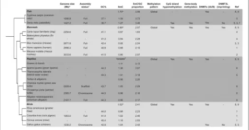 FIGURE 2 | Variable global methylation in vertebrates. *Current genome on NCBI (if available)