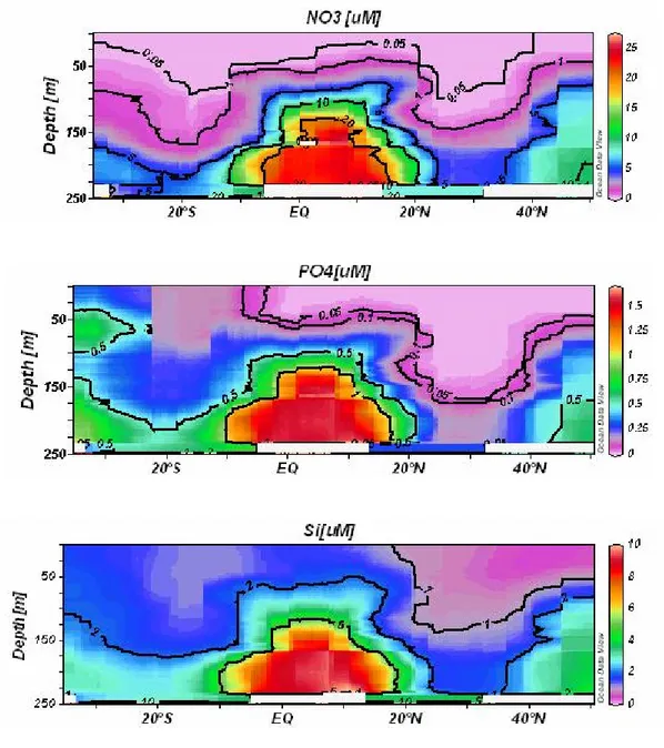 Figure 1. Preliminary Ocean Data View plots of nitrate, phosphate and silicate. 