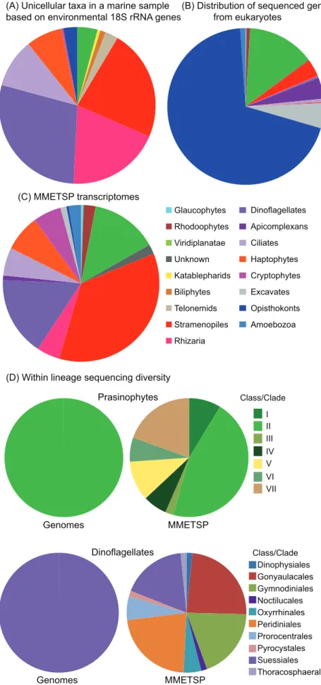 Figure 1. Comparing the diversity of microbial eukaryotes at one marine site with that represented in genome data and the MMETSP project