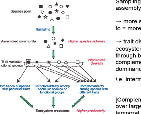 Figure  1  Hypothesized  mechanisms  linking  biodiversity  and  ecosystem  functioning  (Source: Loreau et al