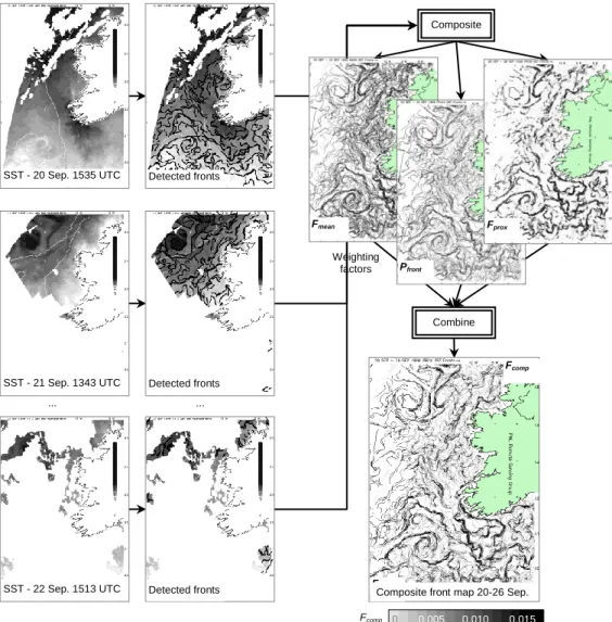 Figure  5  Schematic  diagram  of  composite  front  map  technique.  30  AVHRR  SST  maps (three shown) of the Irish shelf within a 7-day window are processed to detect  front  locations,  which  are  then  composited  to  calculate  the  mean  frontal  g
