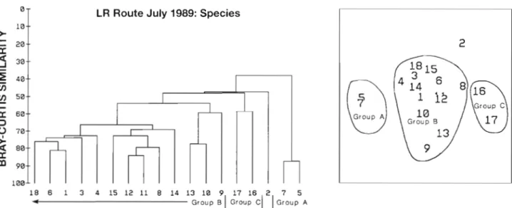 Fig.  8. Grouping  of  taxa  on  the  LR  route  in  July  1989  using  the  dendrogram  (left) resulting  from  cluster  analysis  and  the  scatter plot  (right) resulting  from  MDS analysis