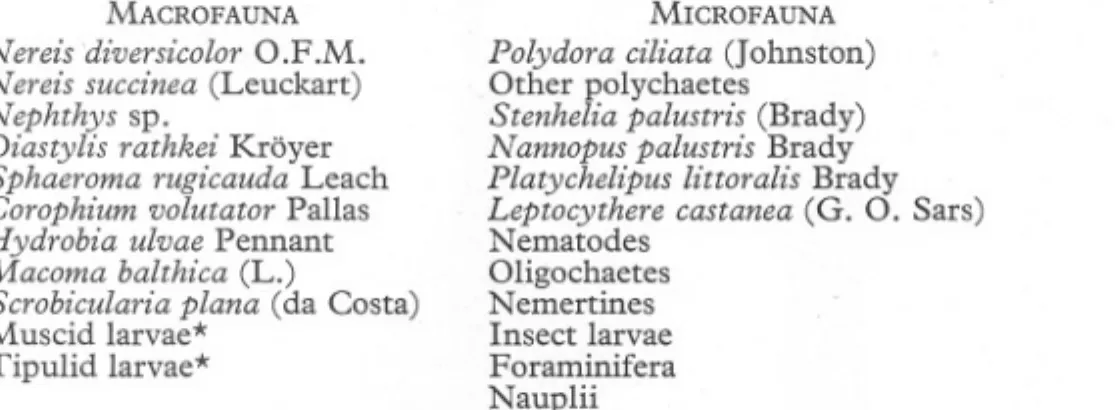 TABLE IV. NUMBERS PER SQUARE METRE OF THE MACROFAUNA