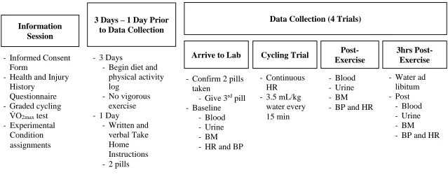 Figure 3.1. Experimental Procedures Schematic.  Blood measures include plasma osmolality, plasma sodium concentration, and plasma potassium concentration