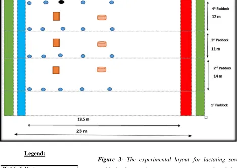 Figure 3: The experimental layout for lactating sow 