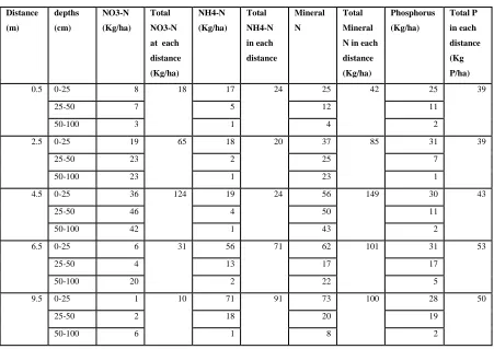 Table 5. The average and total Mineral Nitrogen and Phosphorus (Kg/ha) at each soil depth 