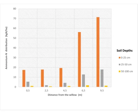 Figure 5. Ammonium-N distribution at different soil depths and distance from the willow  