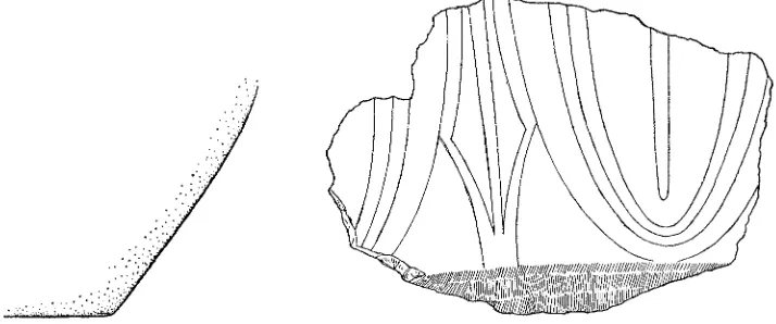 Fig. 11., Fragment of Echinus of initerior Order 