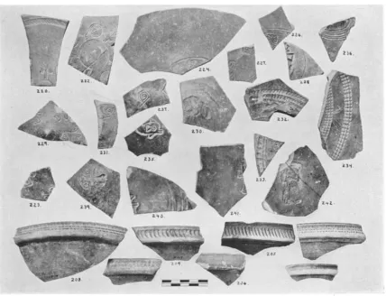 Fig. 4. Roman Pottery; Late C Ware 