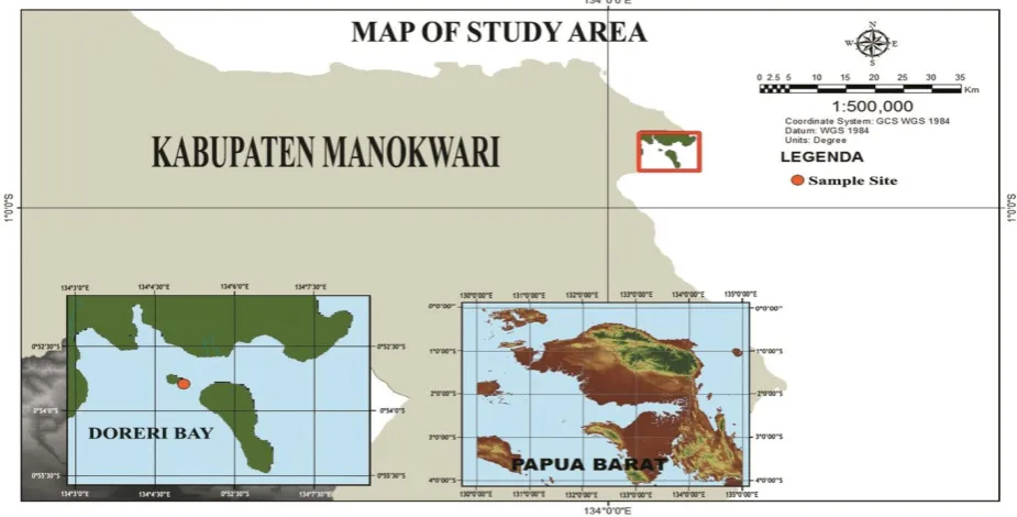 Figure 1: Sampling location for the collection of bacteria symbionts of tunicate Ascidia   ornata from Lemon Island, Doreri Bay Manokwari-West Papua 