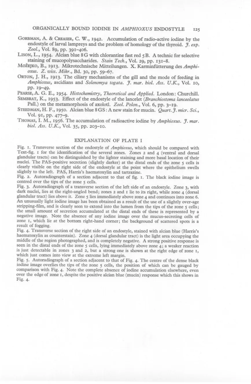 Fig. 1. Transverse section of the endostyle of Amphioxus, which should be compared with Text-fig