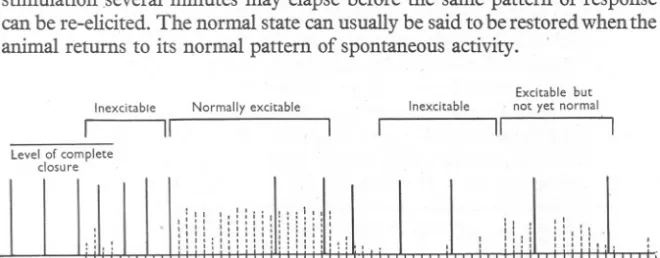 Fig. 3. The results of part of an experiment on the relation between excitability and internal phasic activity