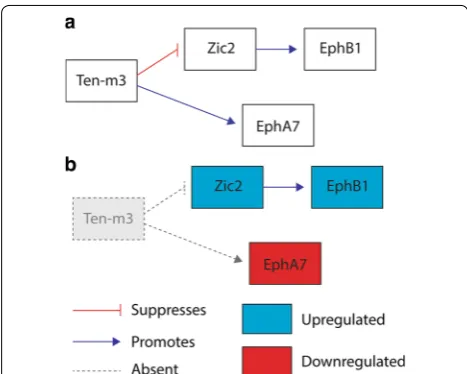 Fig. 8 Schematic diagram illustrating potential interactions and sion. These interactions may be direct or indirect