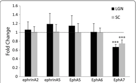 Fig. 3 Quantitative analysis confirms altered distribution of ipsilateral terminals in Ten-m3 KOs during ingrowth to the dLGN