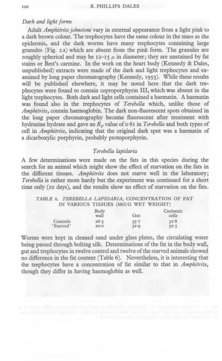 TABLE 6. TEREBELLA LAPIDARIA, CONCENTRATION OF FAT IN VARIOUS TISSUES (MG(G WET WEIGHT)