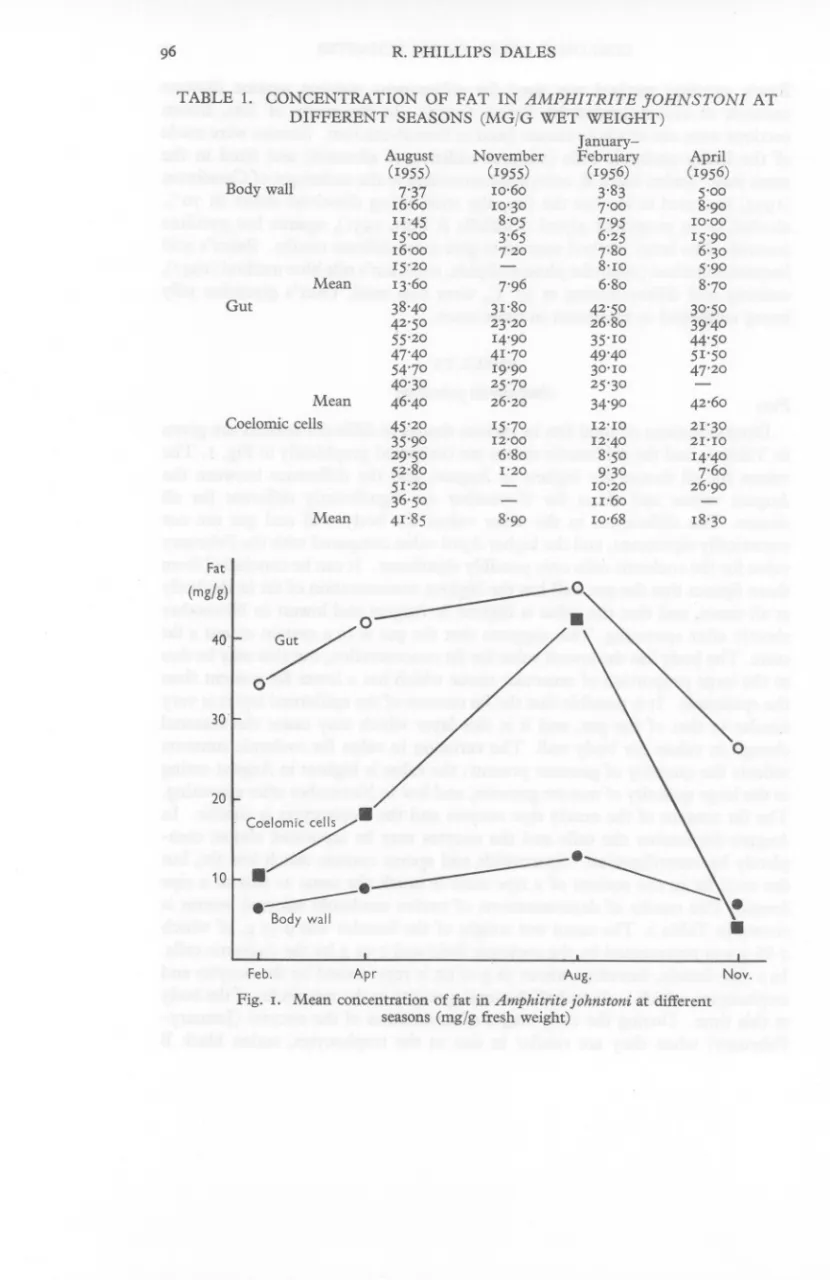 TABLE 1. CONCENTRATION OF FAT IN AMPHITRITE JOHNSTONI AT