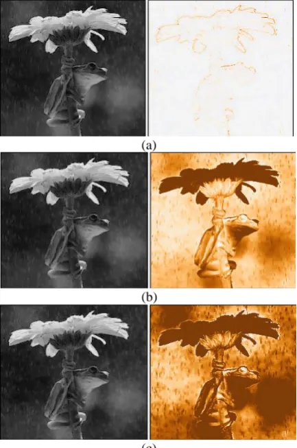 Fig. 4 (a) High frequency Image component (left) (b)Low  frequency Image component (right) 