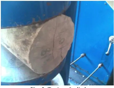 Fig -4: Curing of cube specimens  