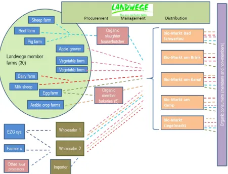 Figure 11: Constellation analysis of the values-based organic food chains of Landwege e.G