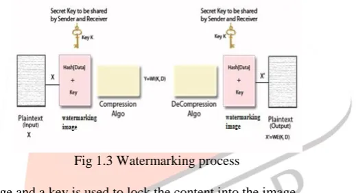 Fig 1.3 Watermarking process 