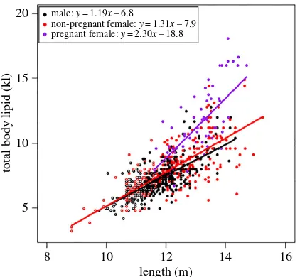 Figure 4. Relationship between humpback whale total body lipid and the predictors in the top-ranked model (length and reproductiveclass)fromthesuiteofmodelstestedtoexplaintotalbodylipid.Shownaretherawvalues,fittedlinesandregressionequationsforeachreproductiveclass.Immaturewhalesarecolour-codedwithnon-filledcentres:immaturefemaleswitharedoutlineandimmaturemaleswith a black outline.