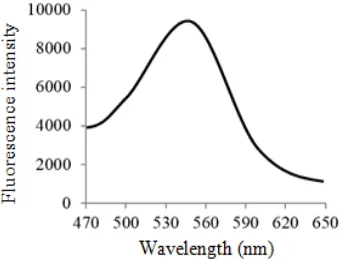 Fig. 5:  Fluorescence emission spectrum metabolite of  F. verticillioides (A) and P. oxalicum result: 10-1 (a), 10-2 (b), 10-3 (c), 10-4 (d),10-5 (e), 10-6, (f), 10-7 (g), 10-8 (h),  10-9 (i), 10-10 (j)  