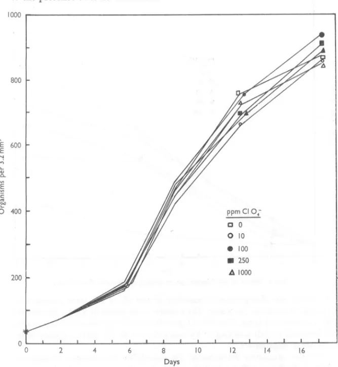 Fig. 4 Effect of percWorate ion on growth of bacteria-free Phaeodactylum ltricornutum.