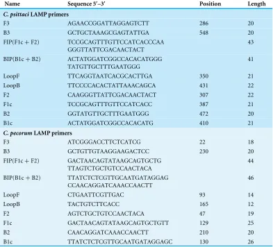 Table 1LAMP primers set used in this study.
