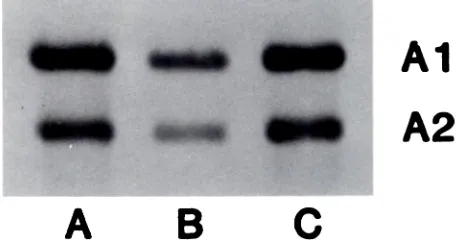 Fig 5.with