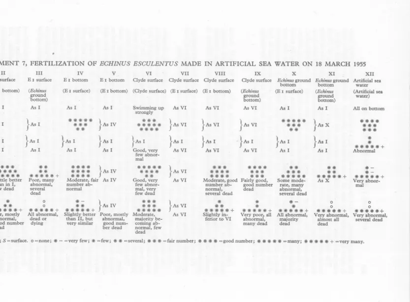 TABLE 1. EXPERIMENT 7, FERTILIZATION OF ECH/NUS ESCULENTUS MADE IN ARTIFICIAL SEA WATER ON 18 MARCH 1955