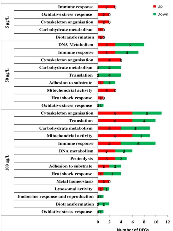 Fig 4. Over-representation analysis of DEGs in the digestive gland tissue of mussels exposed to B[a]P (5μg/L, 50μg/L and 100 μg/L)