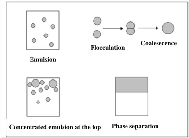 Figure 5. Destabilization stages of emulsion.  