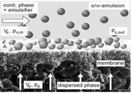 Table 2. Different types of membranes used for emulsion Polymerization [41]  