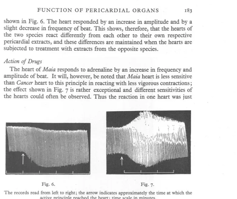 Fig. 6. Fig. 7.