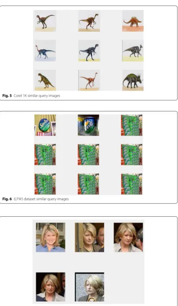 Fig. 7 Flickr logo dataset similar query images
