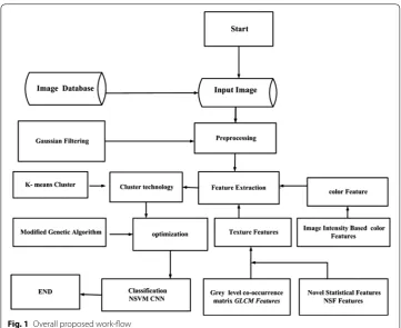 Fig. 1 Overall proposed work-flow